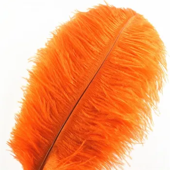 Wholasale Oranžna Noja, Perje za Obrt 15-70 cm Pustni Kostumi Stranka Domov Poroka Okraski Naravnih Plumas Obsegov