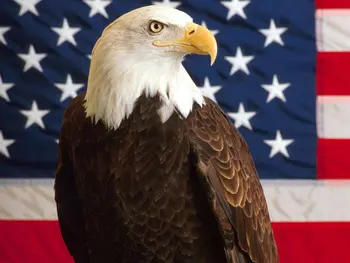 ZDA ZDA Ameriško Zastavo 90x150cm Zvezde in Črte zda Državne Zastave Dvostransko Tiskano Poliester Banner Slike 2